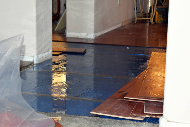 Professional Water Extraction technician working in Pescadero, CA
